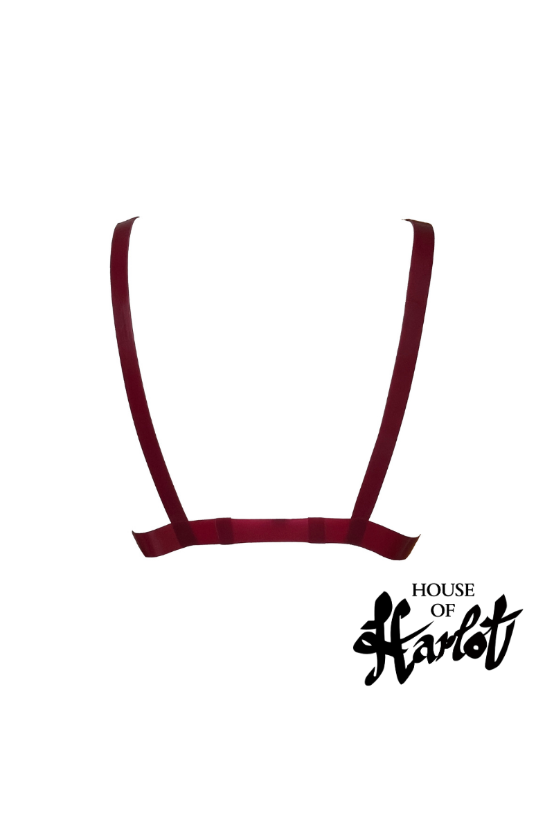 VENUS LACED BRA